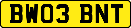 BW03BNT