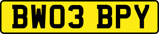 BW03BPY
