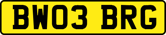 BW03BRG