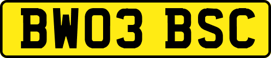 BW03BSC