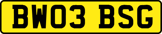 BW03BSG