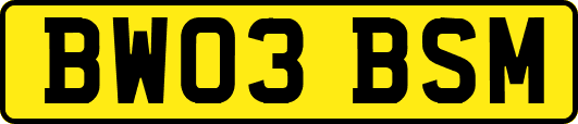 BW03BSM