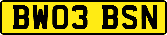 BW03BSN
