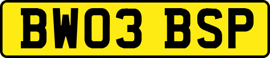 BW03BSP