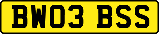 BW03BSS
