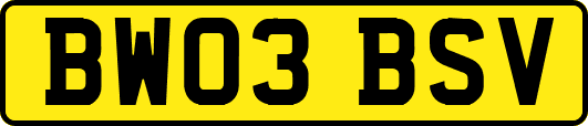 BW03BSV