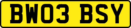 BW03BSY