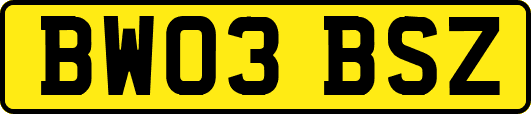 BW03BSZ
