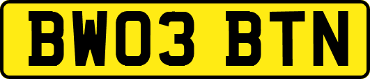 BW03BTN