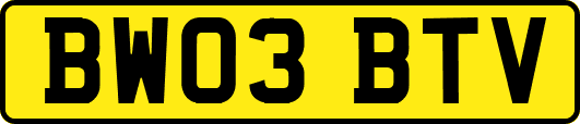 BW03BTV