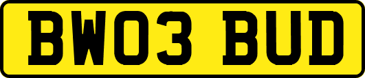 BW03BUD