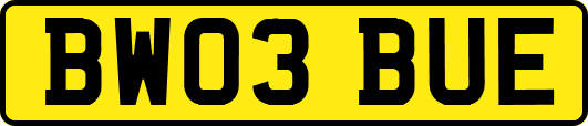 BW03BUE