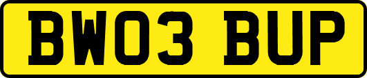 BW03BUP