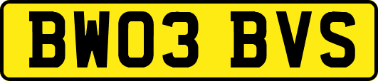 BW03BVS