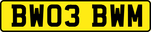 BW03BWM
