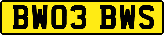 BW03BWS