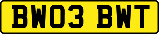 BW03BWT