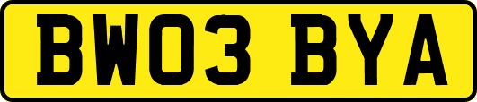 BW03BYA