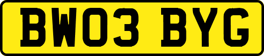 BW03BYG