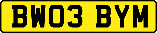 BW03BYM