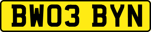 BW03BYN