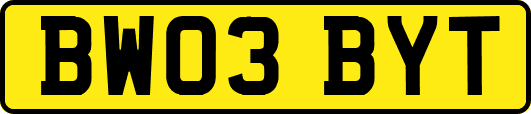 BW03BYT