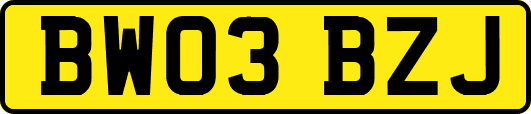 BW03BZJ