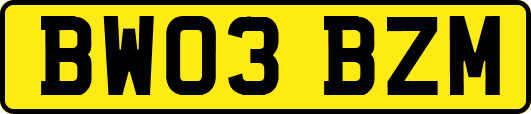 BW03BZM