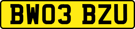 BW03BZU