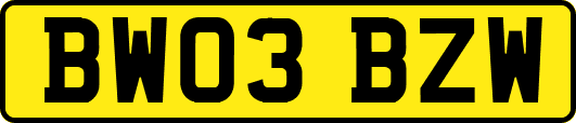 BW03BZW
