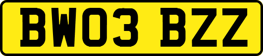 BW03BZZ
