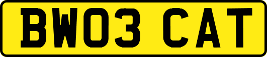 BW03CAT
