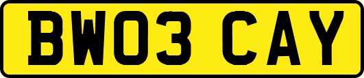 BW03CAY