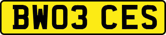 BW03CES