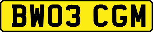 BW03CGM