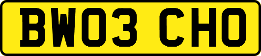BW03CHO