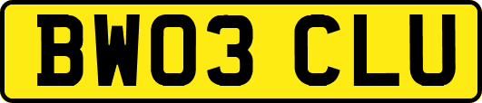BW03CLU