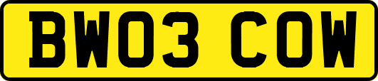BW03COW