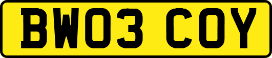 BW03COY