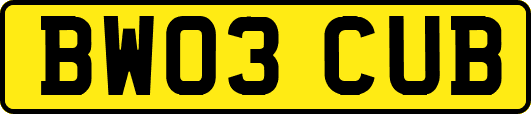 BW03CUB