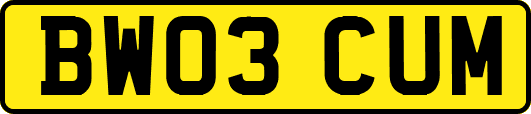BW03CUM