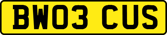 BW03CUS