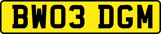 BW03DGM