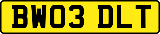 BW03DLT