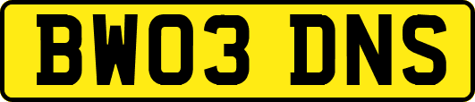 BW03DNS