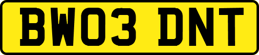 BW03DNT