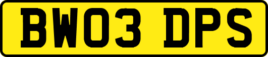 BW03DPS