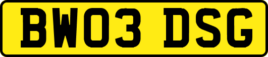 BW03DSG