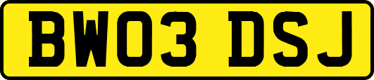 BW03DSJ