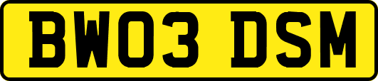 BW03DSM